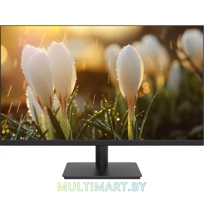 Монитор Dahua DHI-LM24-A201H
